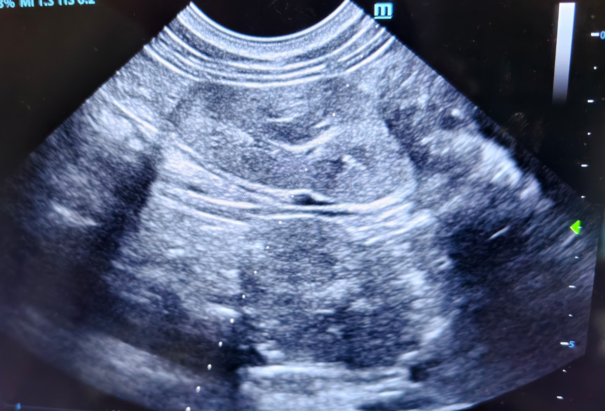 屏幕截图 2025-12-15 095951.jpg